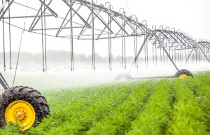 Avviso ai consorziati – Servizio irriguo Impianto  Fornace, monitoraggio risalita del cuneo salino