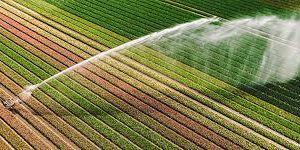 Avviso: comprensorio irriguo di Tarquinia, domande irrigue stagione 2026 – Modulistica